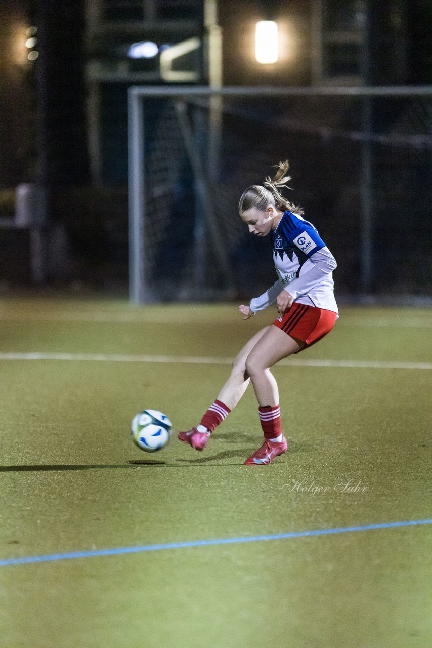 Bild 385 - F SC Alstertal-Langenhorn - Hamburger SV 3 : Ergebnis: 2:2